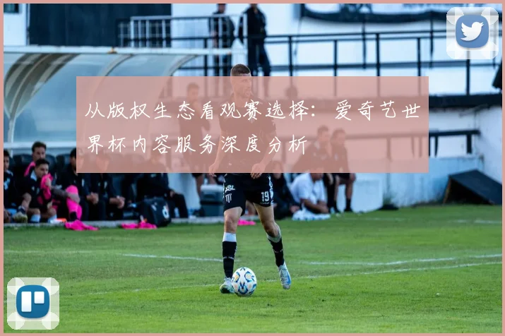 从版权生态看观赛选择：爱奇艺世界杯内容服务深度分析